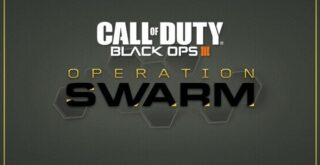 operation swamp